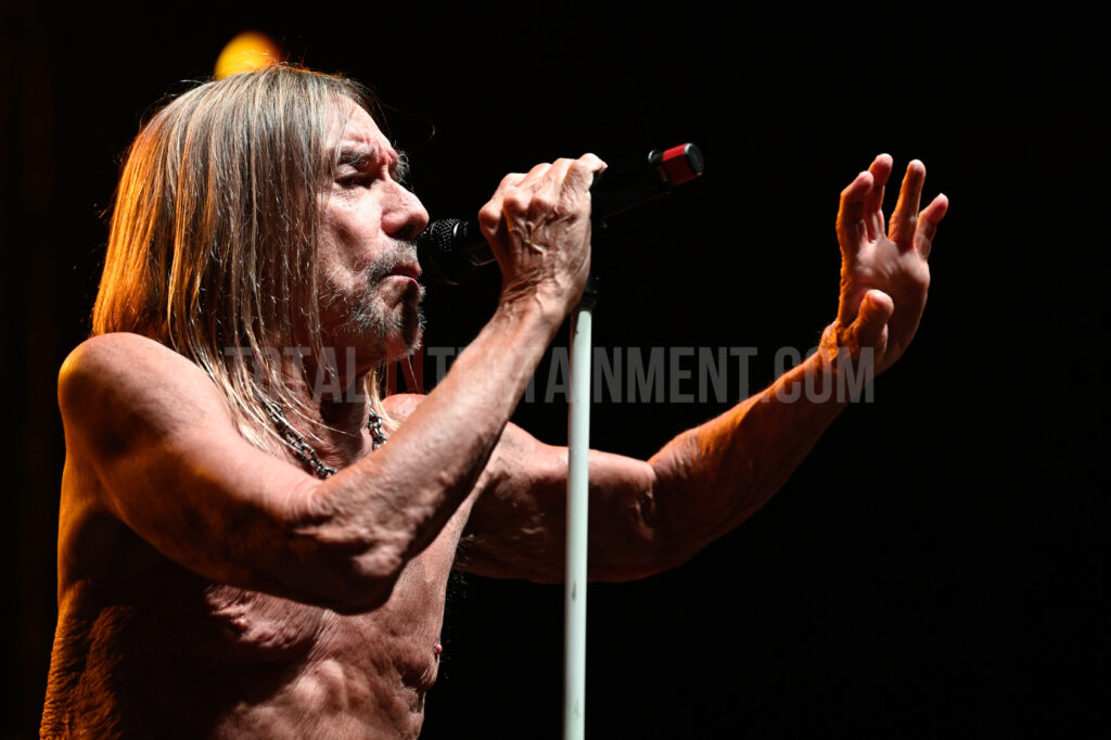 Iggy Pop