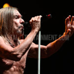 Iggy Pop