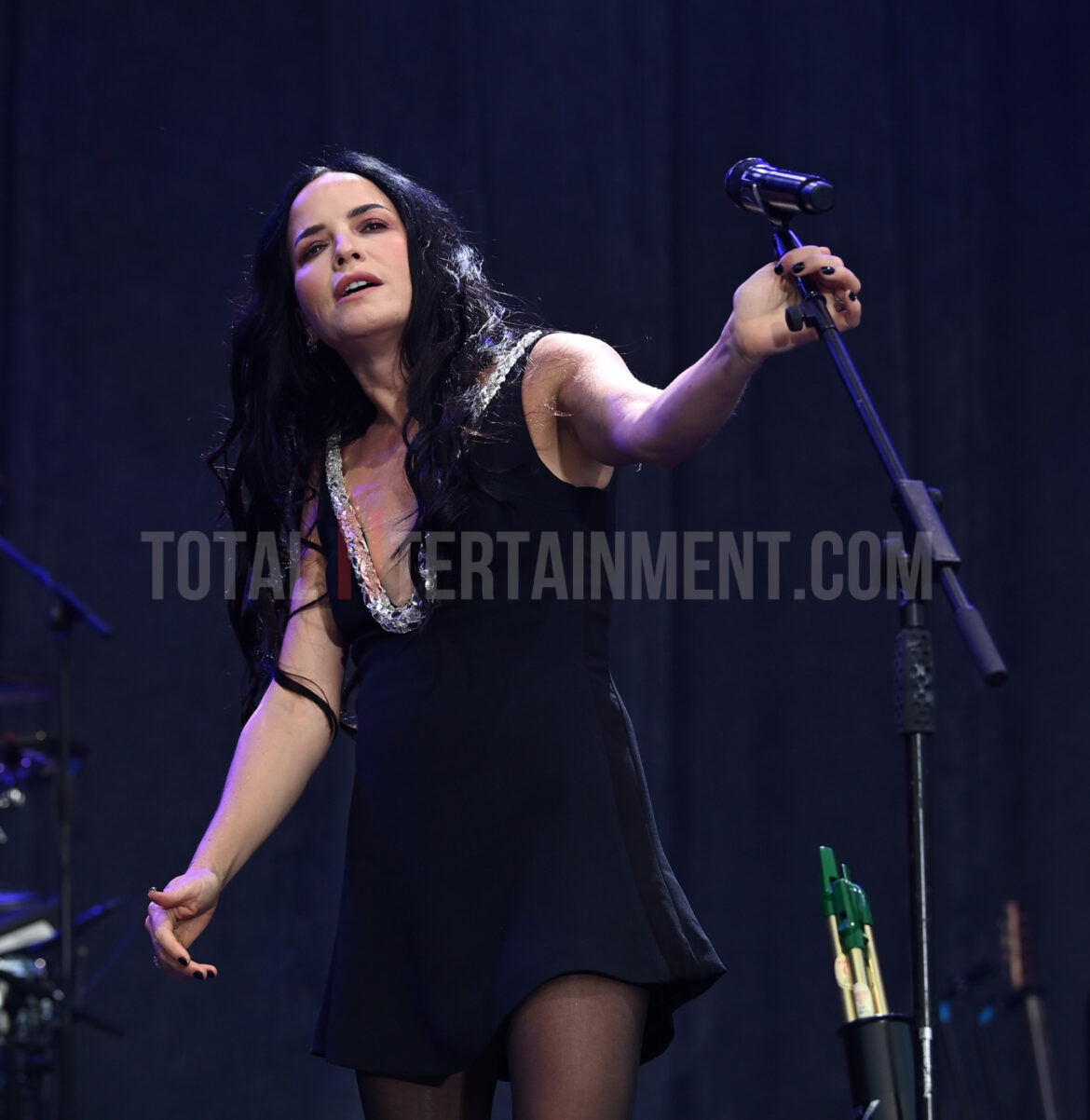 The Corrs