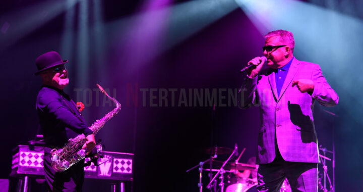 Madness live at Haydock racecourse