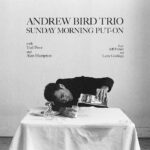 Andrew Bird Trio