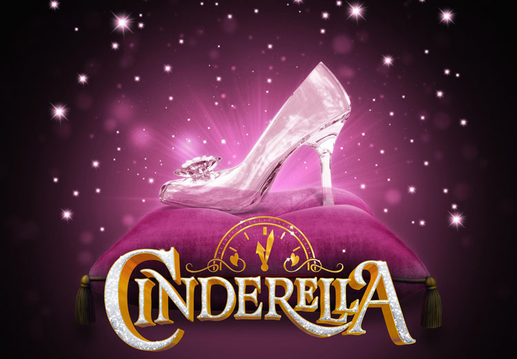 Birds of a Feather, Linda Robson, Cinderella, Theatre, St Helens, Panto