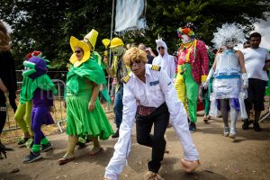 Crowd, Standon Calling, Festival, TotalNtertainment, Music