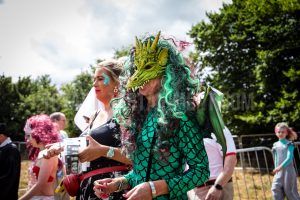 Crowd, Standon Calling, Festival, TotalNtertainment, Music