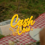 Daniel Briskin, Music News, Cash Cow, TotalNtertainment, New Video