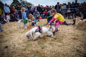 Dog Show. Standon Calling, Festival, TotalNtertainment, Christopher James Ryan