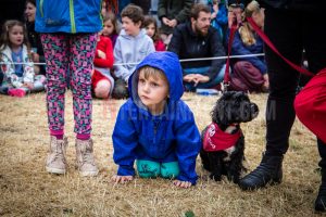 Dog Show. Standon Calling, Festival, TotalNtertainment, Christopher James Ryan