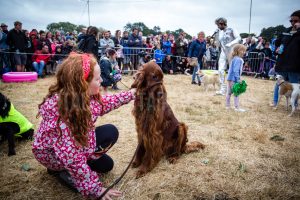 Dog Show. Standon Calling, Festival, TotalNtertainment, Christopher James Ryan