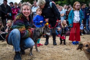 Dog Show. Standon Calling, Festival, TotalNtertainment, Christopher James Ryan