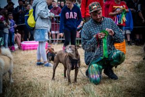 Dog Show. Standon Calling, Festival, TotalNtertainment, Christopher James Ryan