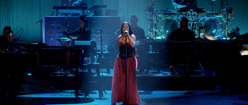 Evanescence, DVD, music, TotalNtertainment, Synthesis