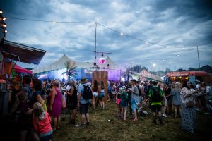 Standon Calling, Crowd, Festival, Christopher James Ryan, Festival, Music, TotalNtertainment