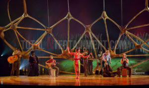 Cirque du Soleil, Totem, Royal Albert Hall, London, Jo Forrest, TotalNtertainment, Review