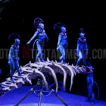 Cirque du Soleil, Toruk, Circus, Review, Jo Forrest, Theatre, TotalNtertainment, Manchester