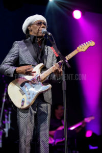 Nile Rogers, Music, Jo Forrest, Haydock Racecourse, TotalNtertainment, Review