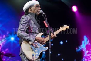 Nile Rogers, Music, Jo Forrest, Haydock Racecourse, TotalNtertainment, Review