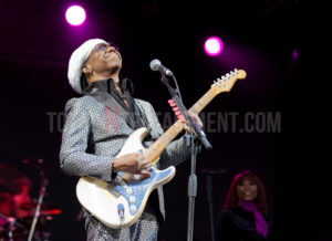 Nile Rogers, Music, Jo Forrest, Haydock Racecourse, TotalNtertainment, Review