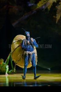  Cirque du Soleil, Ovo, Manchester, Jo Forrest, Review, TotalNtertainment