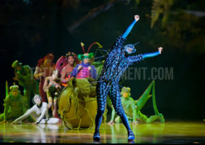  Cirque du Soleil, Ovo, Manchester, Jo Forrest, Review, TotalNtertainment