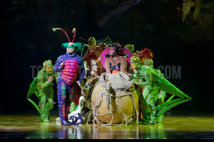  Cirque du Soleil, Ovo, Manchester, Jo Forrest, Review, TotalNtertainment