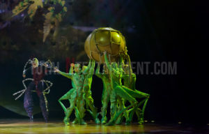  Cirque du Soleil, Ovo, Manchester, Jo Forrest, Review, TotalNtertainment