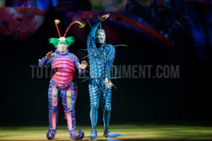  Cirque du Soleil, Ovo, Manchester, Jo Forrest, Review, TotalNtertainment