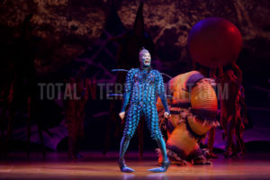  Cirque du Soleil, Ovo, Manchester, Jo Forrest, Review, TotalNtertainment