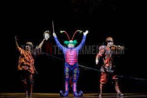  Cirque du Soleil, Ovo, Manchester, Jo Forrest, Review, TotalNtertainment