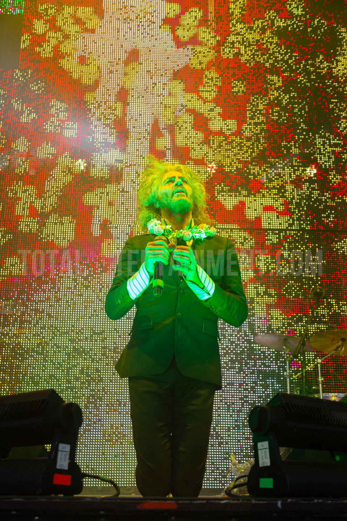 The Flaming Lips