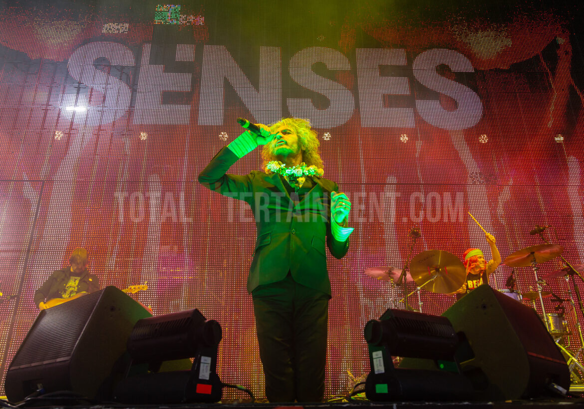 The Flaming Lips