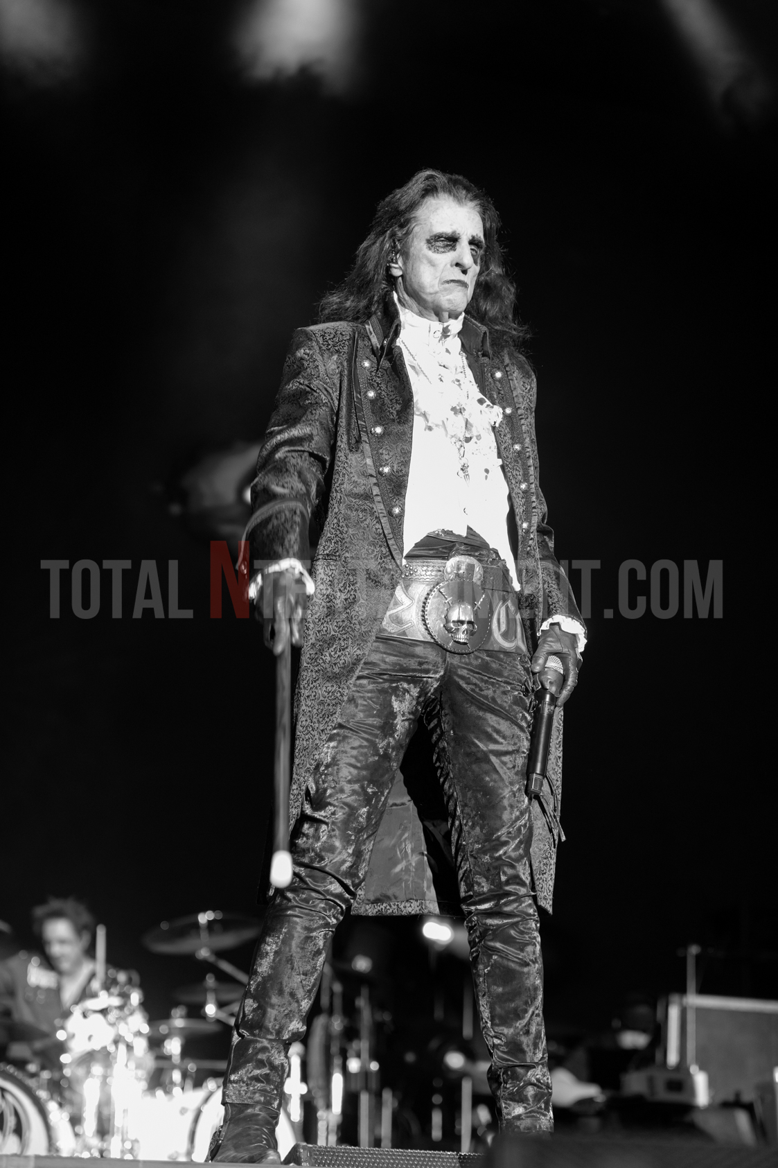 Hollywood Vampires