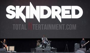 Skindred, Leeds Festival, Review, Jo Forrest, TotalNtertainment, Leeds