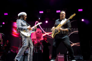 Nile Rogers, Music, Jo Forrest, Haydock Racecourse, TotalNtertainment, Review