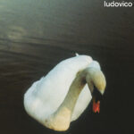 Ludovico Einaudi, Underwater, Music News, Classical, Piano Solo, TotalNtertainment, New Album
