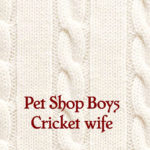 Cricket Wife, Pet Shop Boys, Music, New Release, TotalNtertainment,