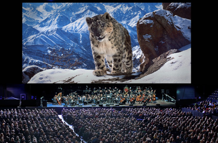 Planet Earth II Live, Theatre, TotalNtertainment, Tour, Leeds