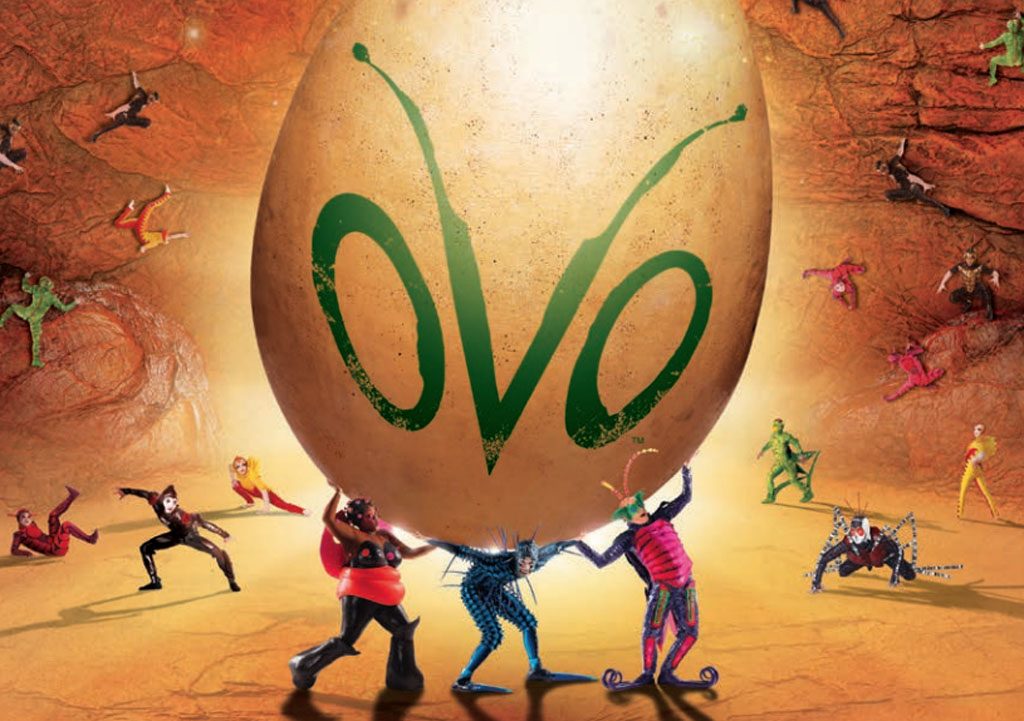 Cirque du Soleil, Ovo, theatre, Circus, Production