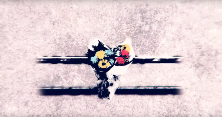 Stereophonics unveil ‘Chaos From The Top Down’