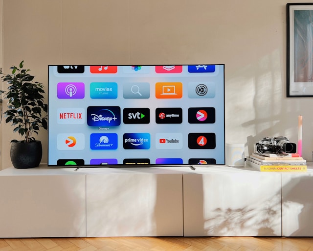 Streaming Platforms