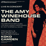 The Amy Winehouse Band