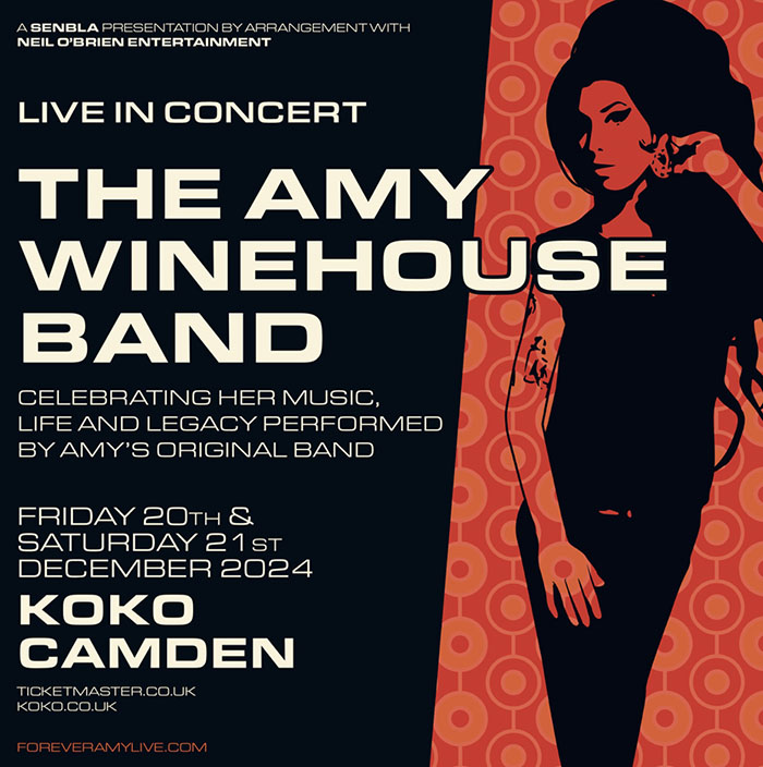 The Amy Winehouse Band