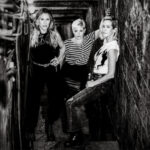 The Chicks, Music News, Tour Dates, TotalNtertainment