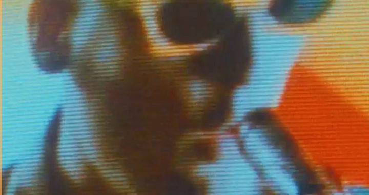 Energy Czar is the newest release from The Zolas