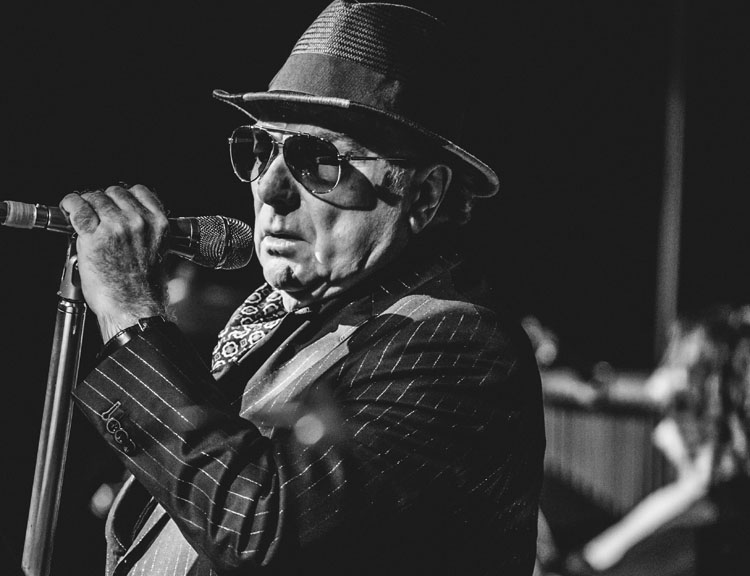 Van Morrison, Music, TotalNtertainment, London, Tour