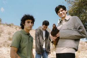 “Tell Me That It’s Over” Wallows Album Review