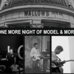 Wallows