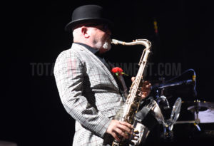 Madness, Aintree Racecourse, TotalNtertainment, Liverpool, Graham Finney, Music, Review