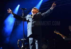 Madness, Aintree Racecourse, TotalNtertainment, Liverpool, Graham Finney, Music, Review