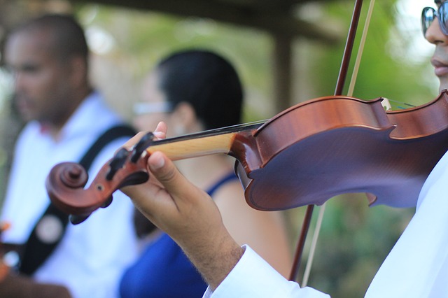 Wedding Entertainment, Fiddlers Dream, Music, TotalNtertainment