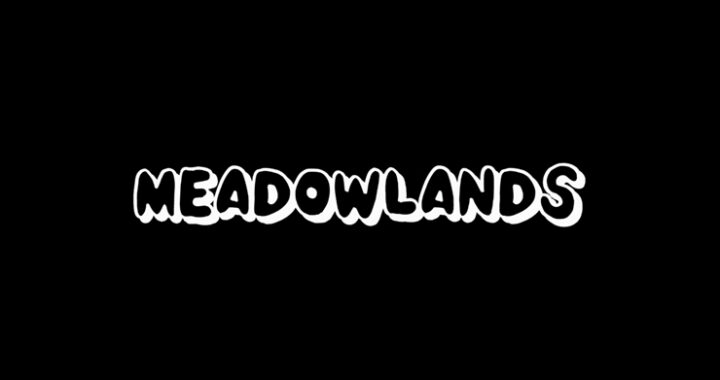 Meadowlands Festival Nottingham 2022